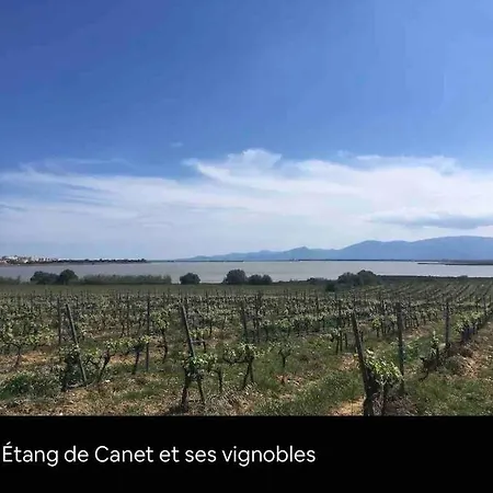 Ivissa Cosy Calme Y Confortable * Canet-en-Roussillon